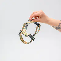  Cat harness "Sausage dog" - Master