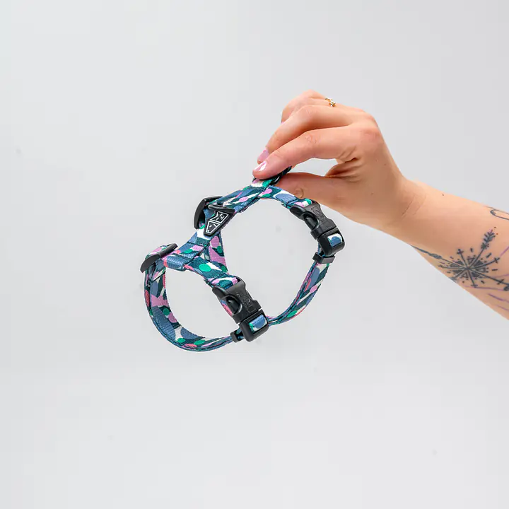 Szelki dla kota "Pies z głową w dół"  - Master