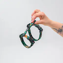 Szelki dla kota "Psikolaż" - Master