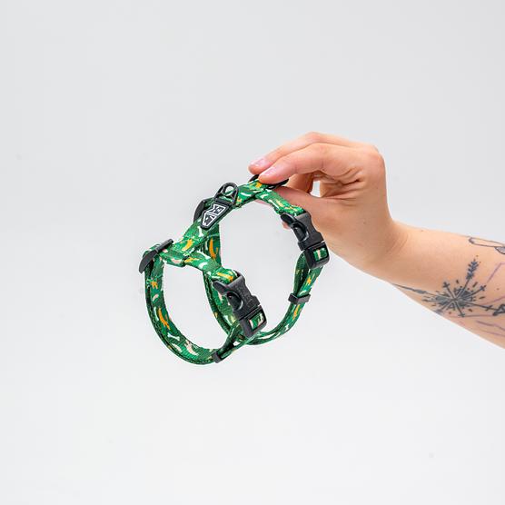 Szelki dla kota "Psy na jawie" 