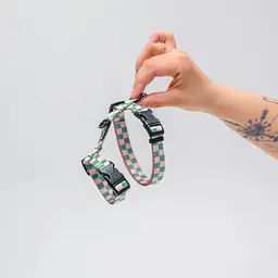 Cat harness "Check Mate" - Master