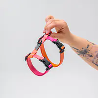 Szelki dla kota "Under my ombrella POMARAŃCZ"  - Master