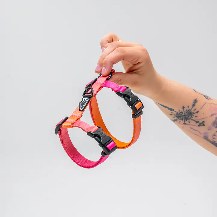 Szelki dla kota "Under my ombrella POMARAŃCZ"  - Master