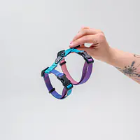 Szelki dla kota "Under my ombrella TURKUS"  - Master