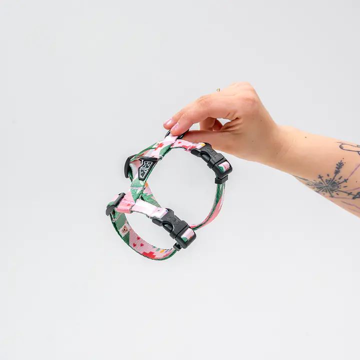 Szelki dla kota "Więcej niż jedno zwierzę to.."  - Master