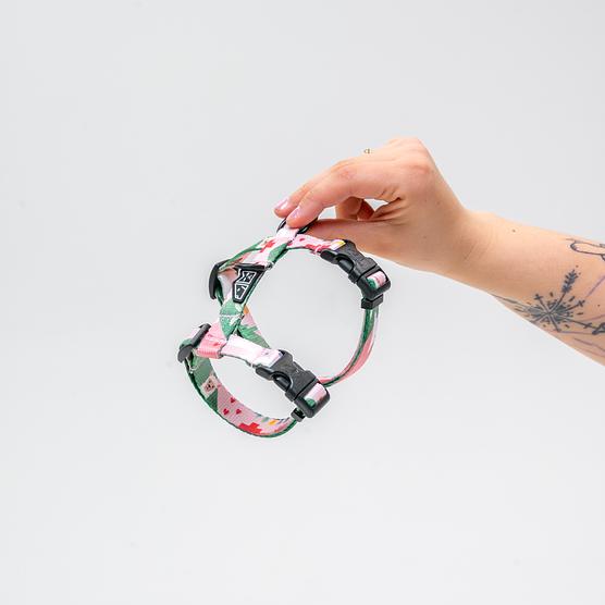 Szelki dla kota "Więcej niż jedno zwierzę to.." 