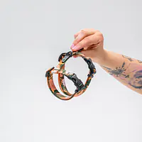 Cat harness "Play with my nuts" - Master