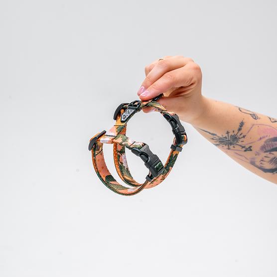 Szelki dla kota "Wie wiórka co dobre" 