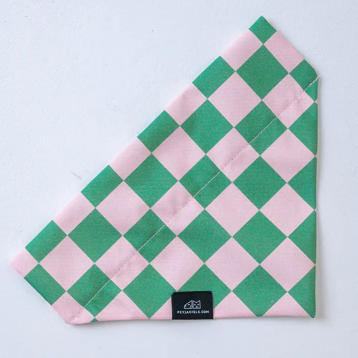 Bandanka "Świat zza krat taki kolorowy" na obrożę - Master