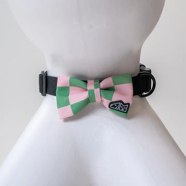 Muszka "Świat zza krat taki kolorowy" - Master