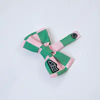 Muszka "Świat zza krat taki kolorowy" - Master