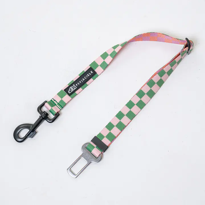 Pasy samochodowe "Świat zza krat taki kolorowy" - Master