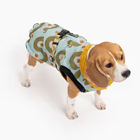 Dog jacket "Sausage dog" - Master