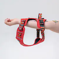 Szelki Adventure "Pies, który lata najlepsze ma za sobą"  - Master