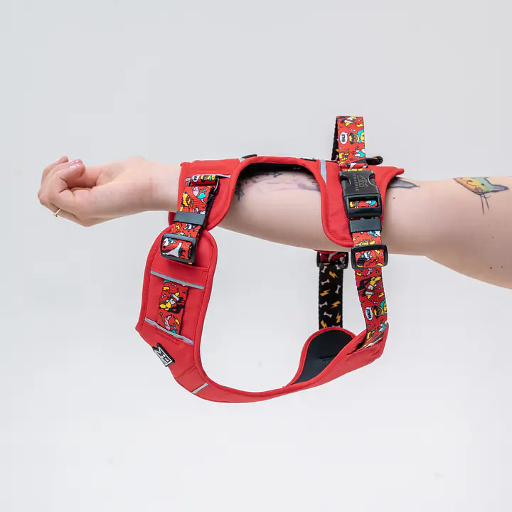 Szelki Adventure "Pies, który lata najlepsze ma za sobą"  - Master