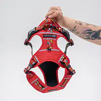 Szelki Adventure "Pies, który lata najlepsze ma za sobą"  - Master