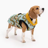 Dog jacket "Sausage dog" - Master