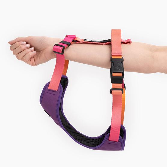 Dog or cat pressure free harness "Under my ombrella" orange