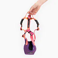 Szelki bezuciskowe dla psa lub kota "Under my ombrella" POMARAŃCZ - Master