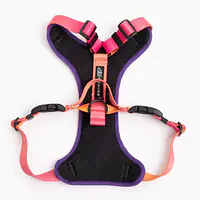 Szelki bezuciskowe dla psa lub kota "Under my ombrella" POMARAŃCZ - Master