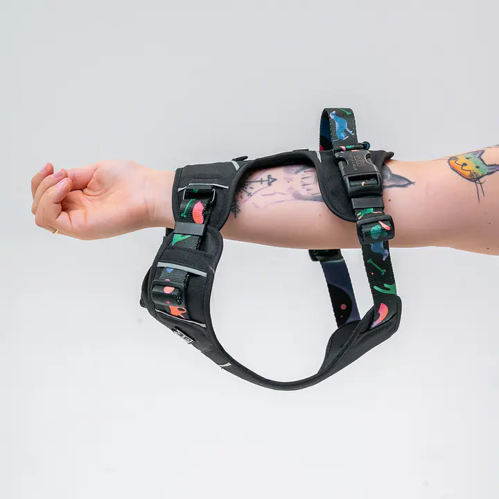 Szelki Adventure "Psychodelia" - Master