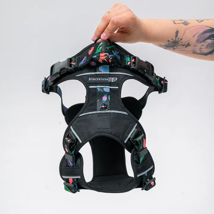 Szelki Adventure "Psychodelia" - Master