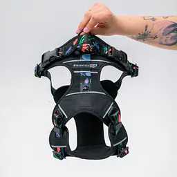 Szelki Adventure "Psychodelia" - Master