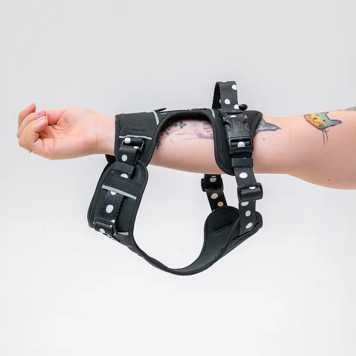 Szelki Adventure "Psygarnij Kropka" - Master