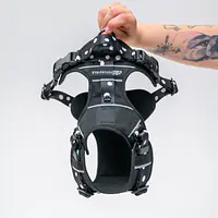 Szelki Adventure "Psygarnij Kropka" - Master