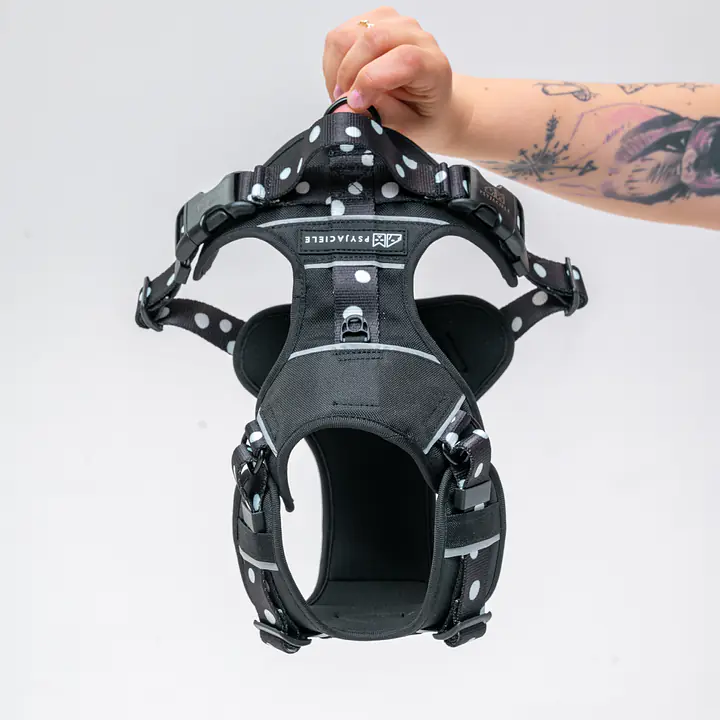 Szelki Adventure "Psygarnij Kropka" - Master