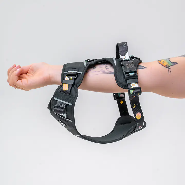 COPY OF Adventure harness "Under my ombrella TURQUOISE" - Master