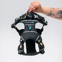 COPY OF Adventure harness "Under my ombrella TURQUOISE" - Master