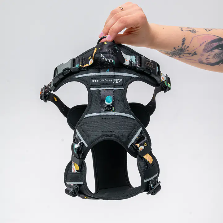 COPY OF Adventure harness "Under my ombrella TURQUOISE" - Master