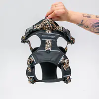 COPY OF Adventure harness "Check Mate PURPLE" - Master