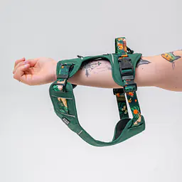 Szelki Adventure "Psikolaż" - Master