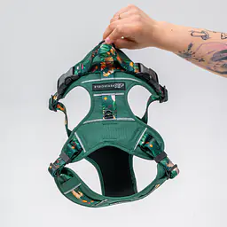 Szelki Adventure "Psikolaż" - Master