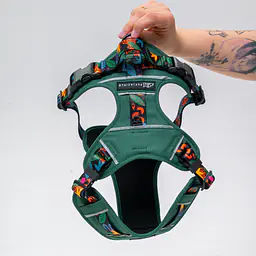 Szelki Adventure "Eye of the tiger" - Master