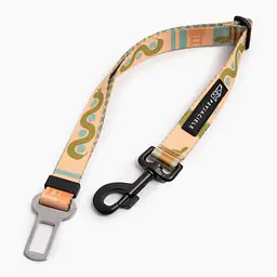 "Sausage dog" car belts - Master