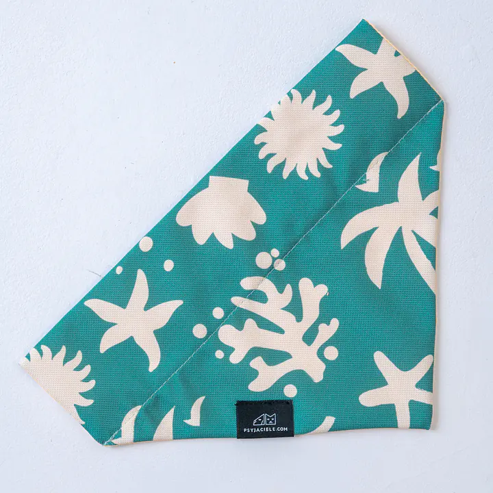 Bandana "Beach Please" collar - Master