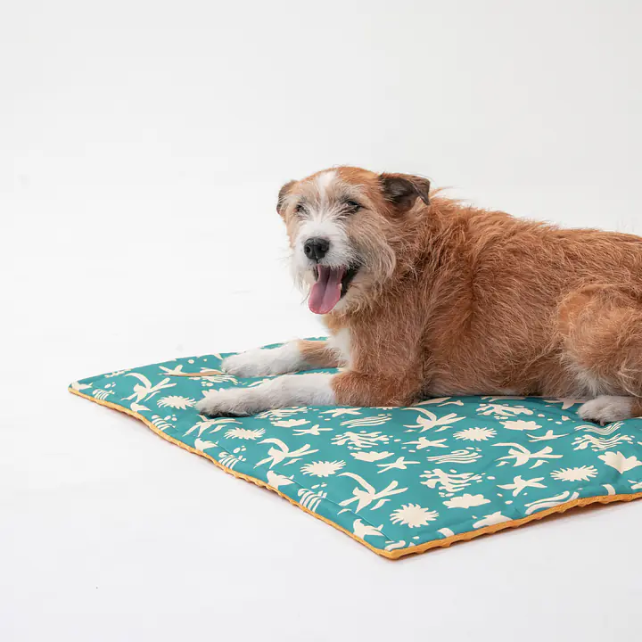 Mat "Beach Please" - Master