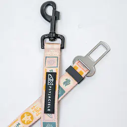 "Beach Please" car belts - Master