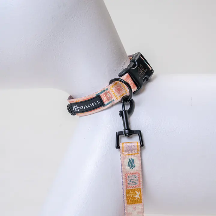 Obroża dla psa lub kota "Beach Please" - Master