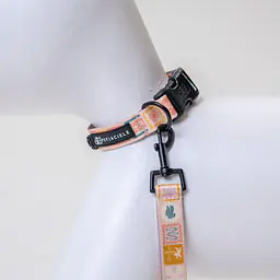 Dog or cat collar "Beach Please" - Master