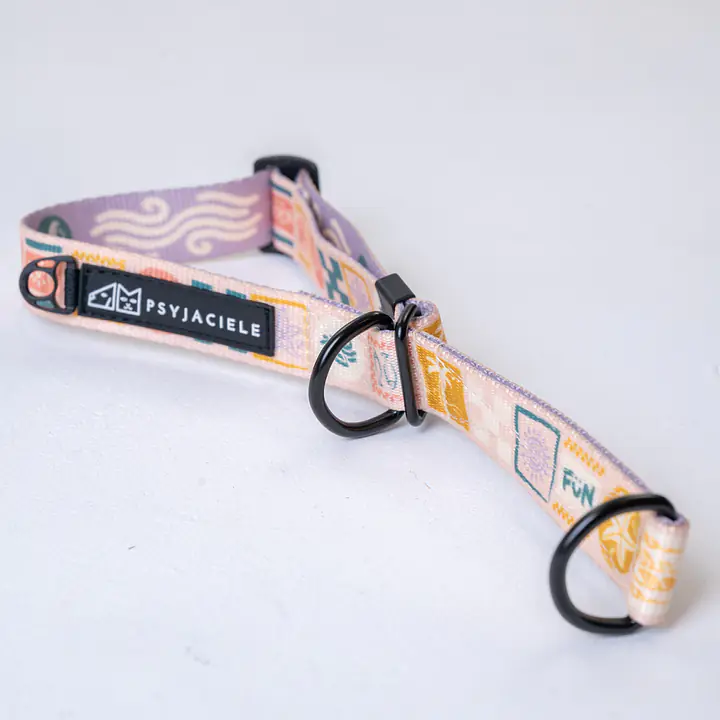 Obroża półzaciskowa dla psa lub kota "Beach Please" - Master