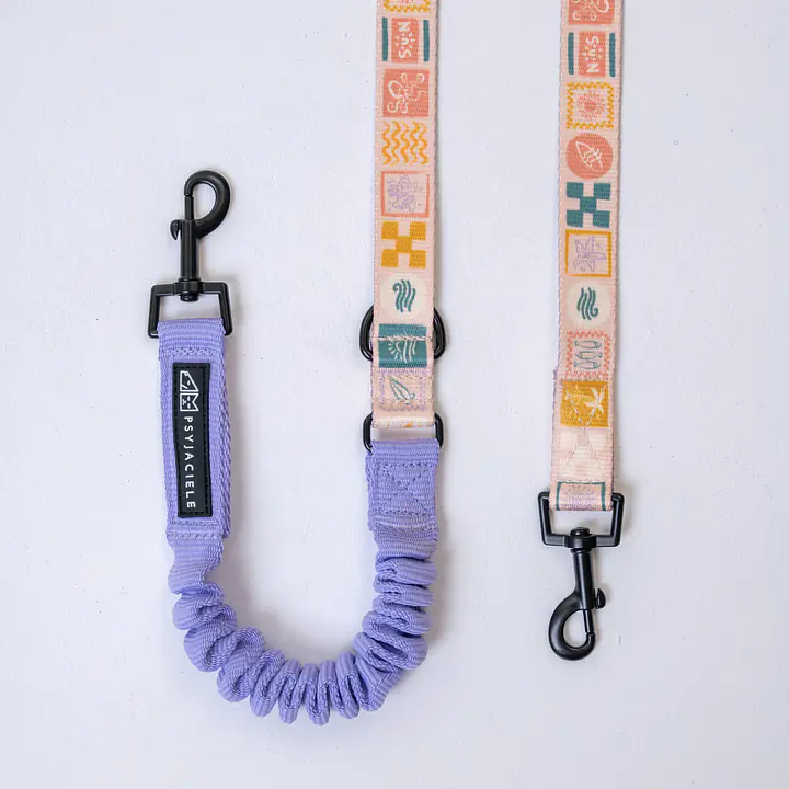 "Beach Please" leash with a shock absorber - Master