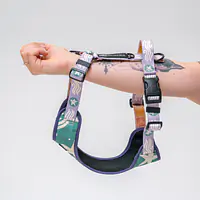 Szelki bezuciskowe dla psa lub kota "Beach Please" - Master