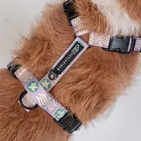 Szelki bezuciskowe Stay on "Beach Please" - Master