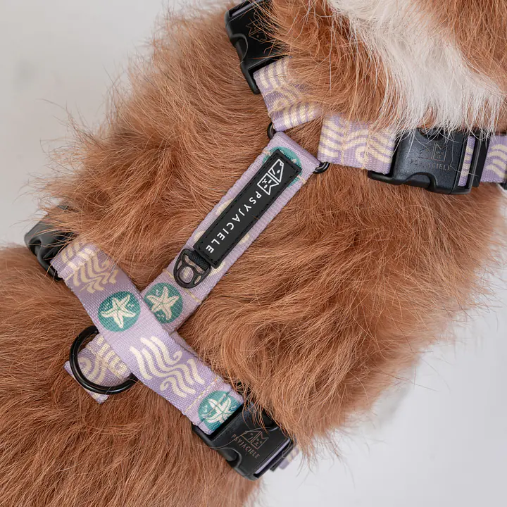 Szelki bezuciskowe Stay on "Beach Please" - Master