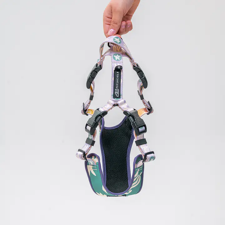 Szelki bezuciskowe Stay on "Beach Please" - Master