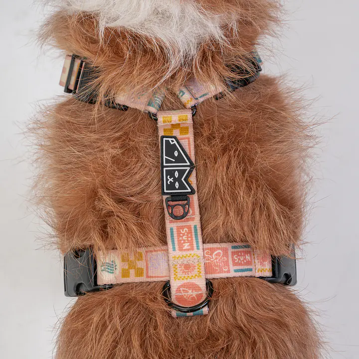 Szelki guard Stay on "Beach Please" - Master